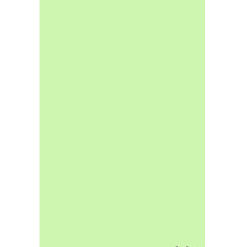 Бумага офисная цветная А4 500 листов Speсtra Color пастель бледно-зеленая 80г/м2
