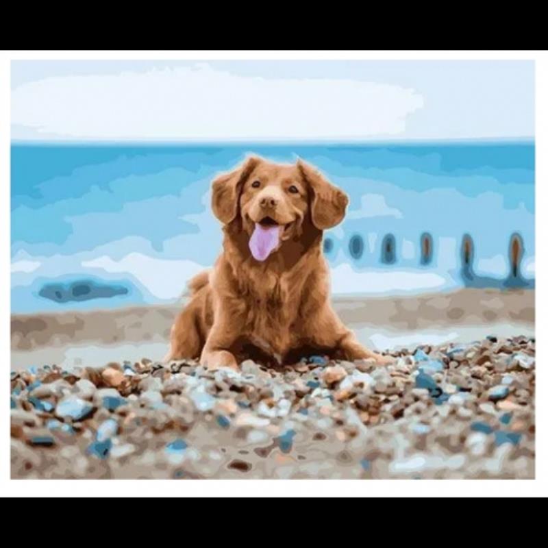 картина по номерам собака на пляже paintboy 400х500мм 