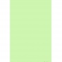 Бумага офисная цветная А4 500 листов Speсtra Color пастель бледно-зеленая 80г/м2