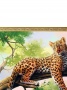 алмазная картина леопард на дереве basir 40х50см в коробке (мс-5406) 