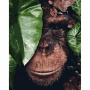 картина по номерам обезьяна в листьях paintboy 400х500мм 